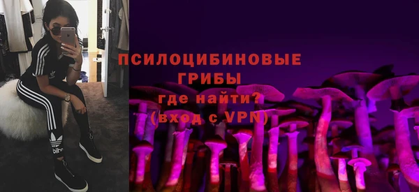 spice Нягань