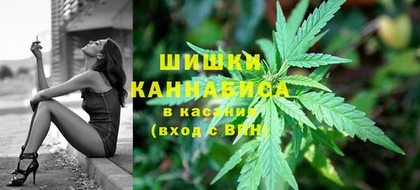 соль ск Гусев