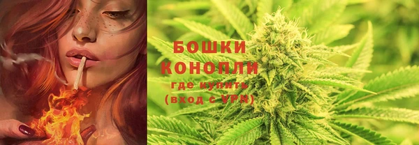 мет Гусиноозёрск