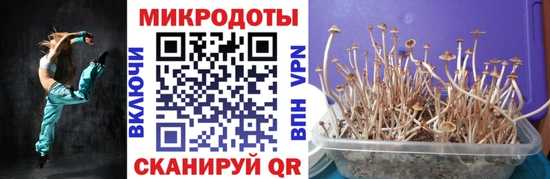 kraken зеркало  купить закладку  Ивантеевка  Галлюциногенные грибы Magic Shrooms 